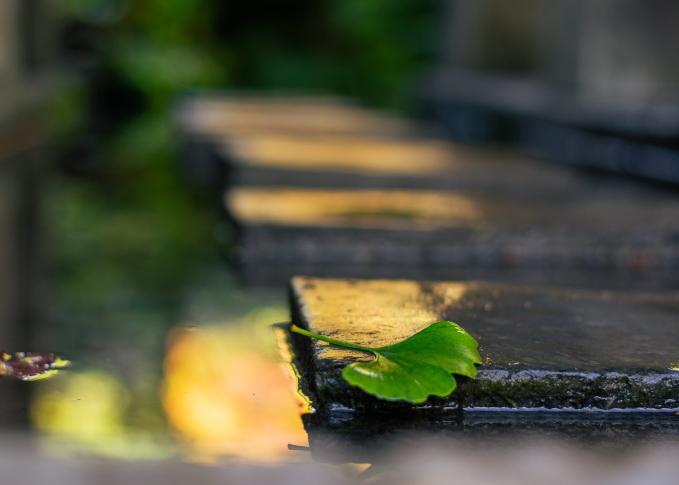 renovido_blog_nachhaltigkeit-01_1